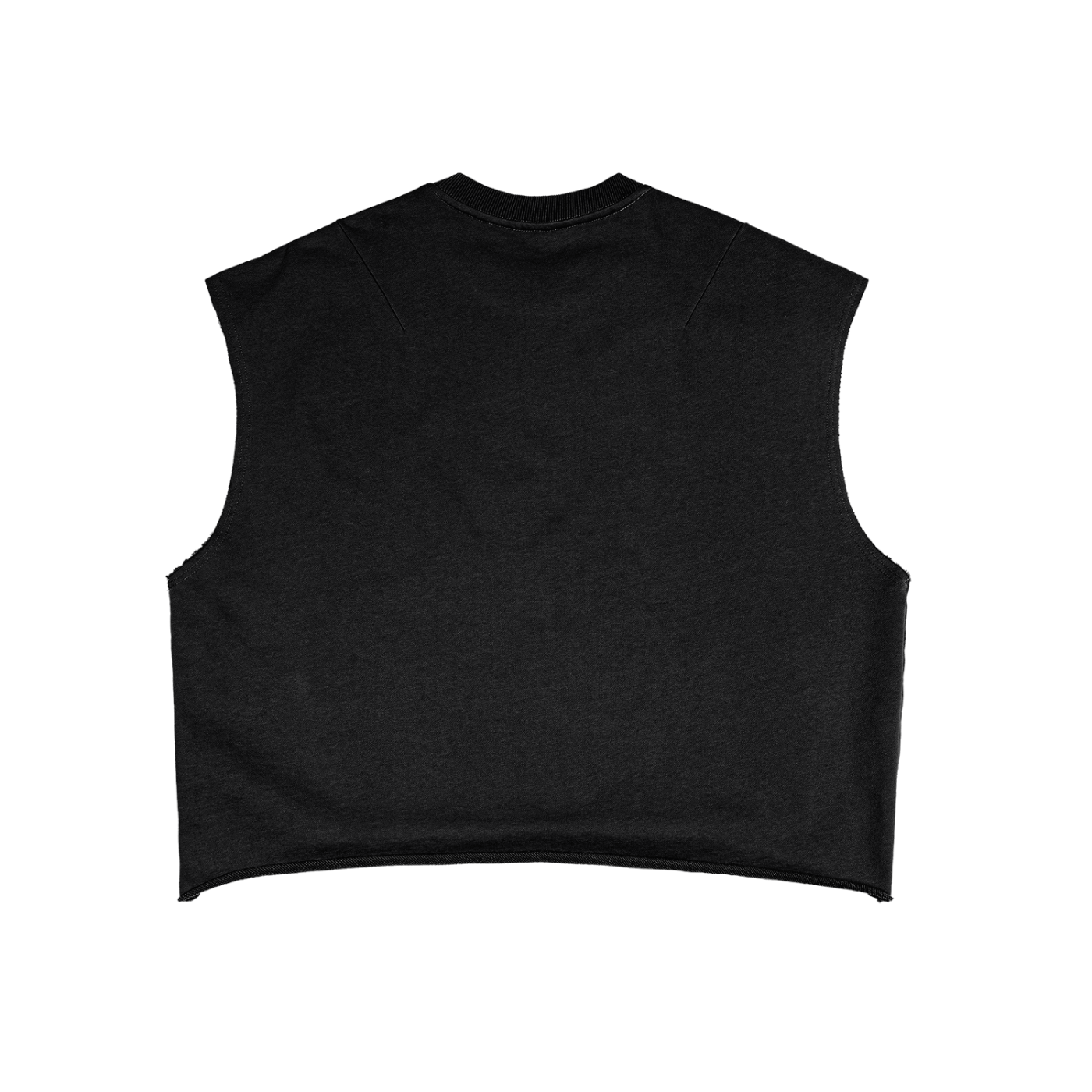 Remember Desi Boy Cropped Tee
