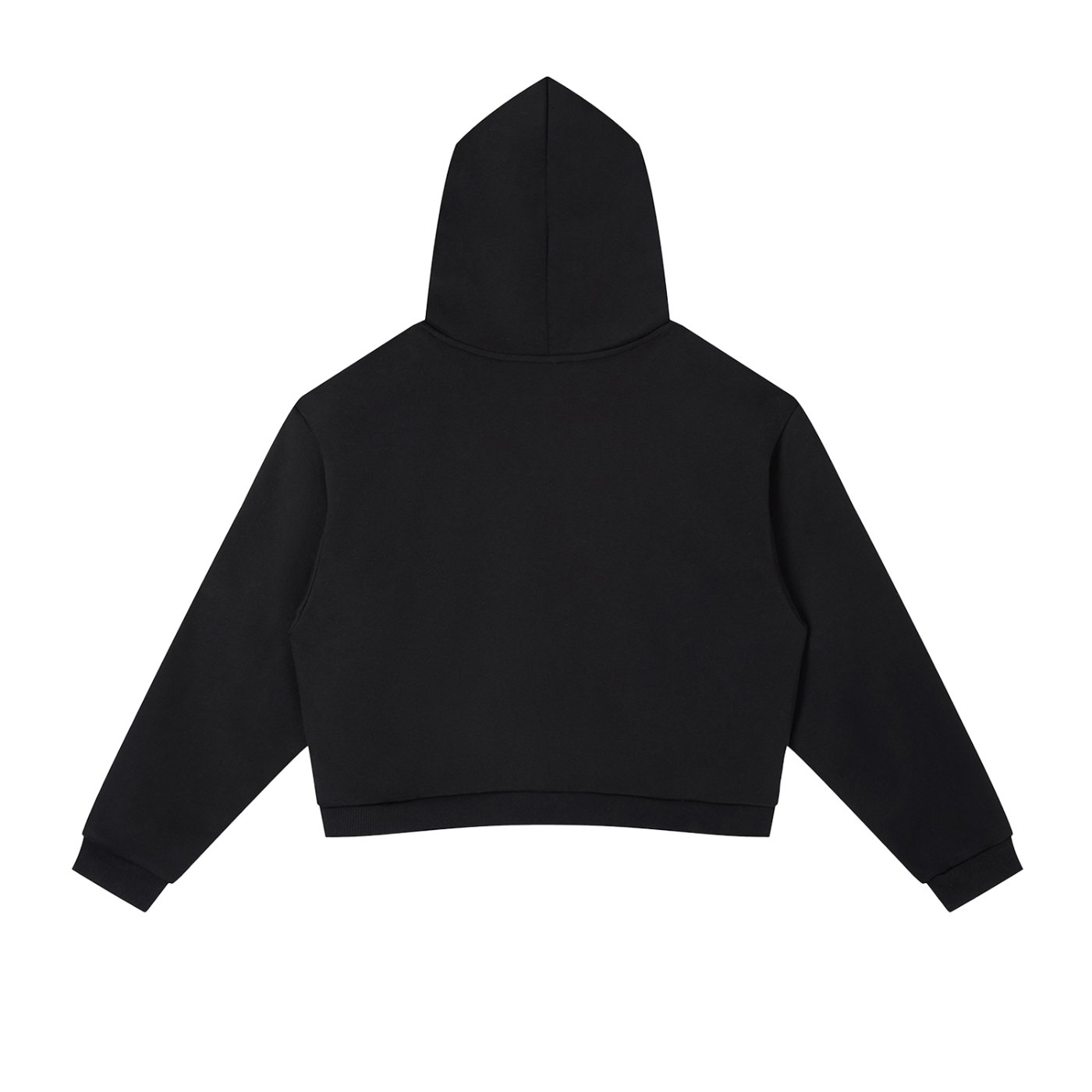 Wasian Cropped Hoodie